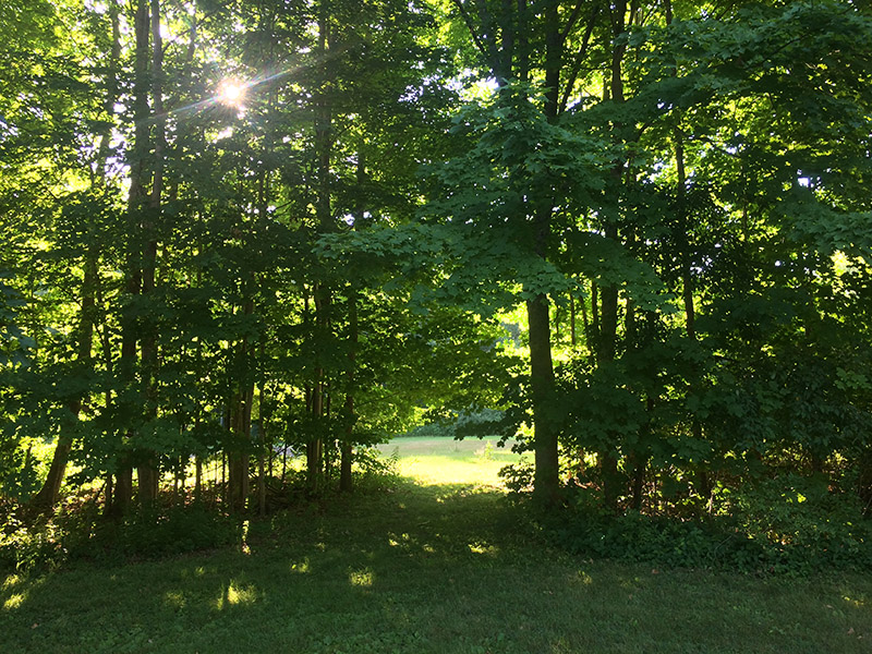 The path to the eastern field.